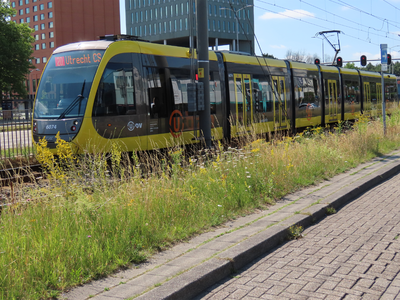 915150 Afbeelding van een tramstel lijn 20 van U-OV naar Utrecht CS, op de Europalaan te Utrecht.